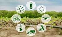 کمیته کشاورزی، آب و محیط زیست ذیل شورای راهبری فناوری و تولید دانش بنیان استان در محل سازمان جهاد کشاورزی استان کرمان برگزار گردید